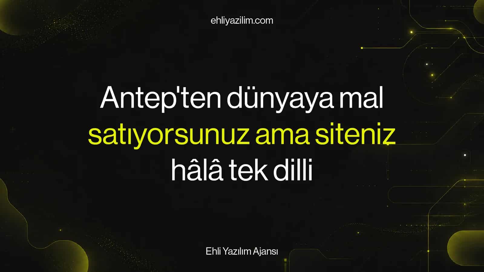 Antep'ten dünyaya mal satıyorsunuz ama siteniz hâlâ tek dilli