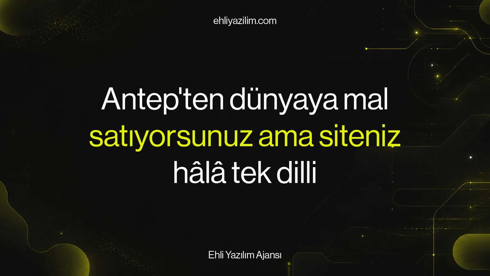 Antep'ten dünyaya mal satıyorsunuz ama siteniz hâlâ tek dilli